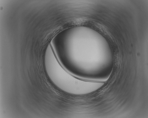 X0000069810505200605190848