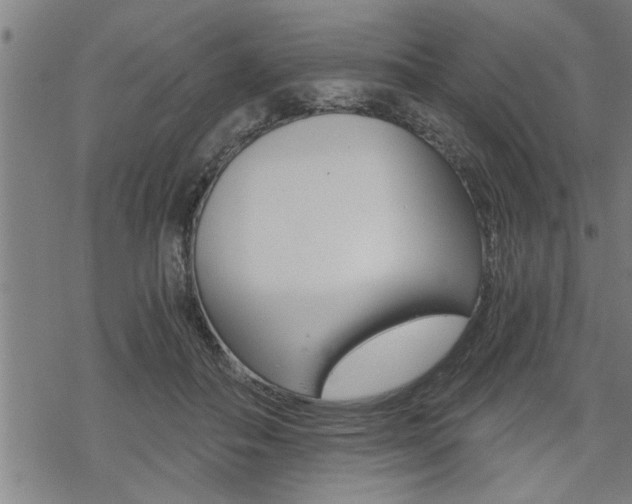 X0000069810506200605190848