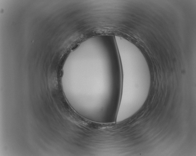 X0000069810508200605190848