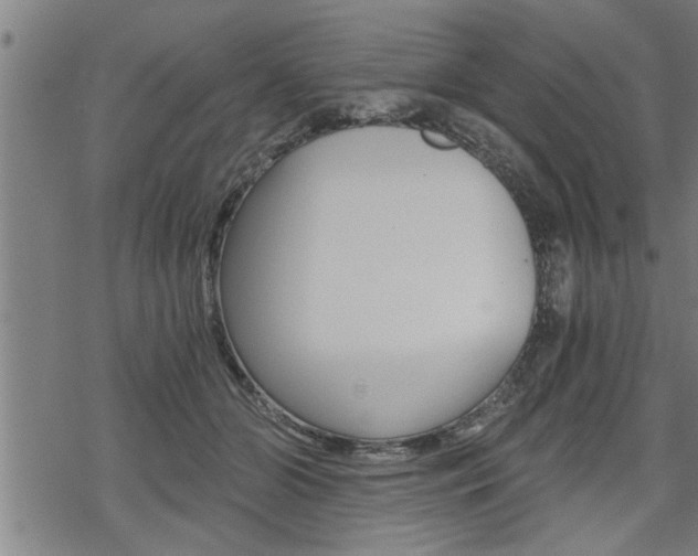 X0000069810510200605190848