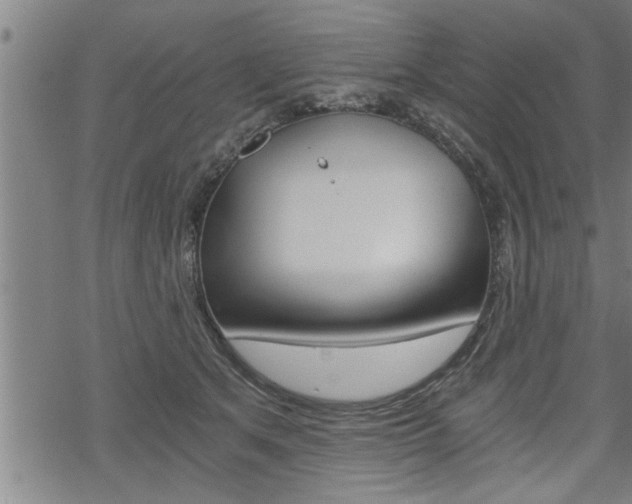 X0000069810513200605190848