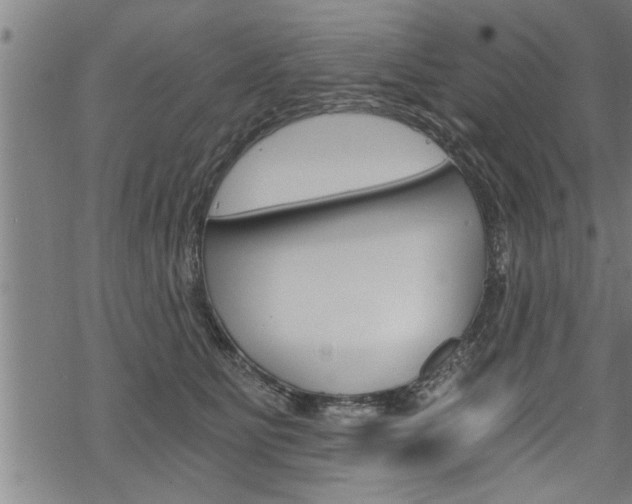 X0000069810515200605190848