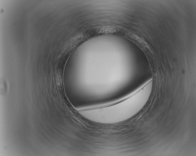 X0000069810517200605190848