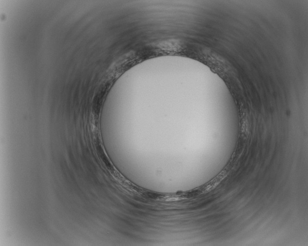 X0000069810518200605190848