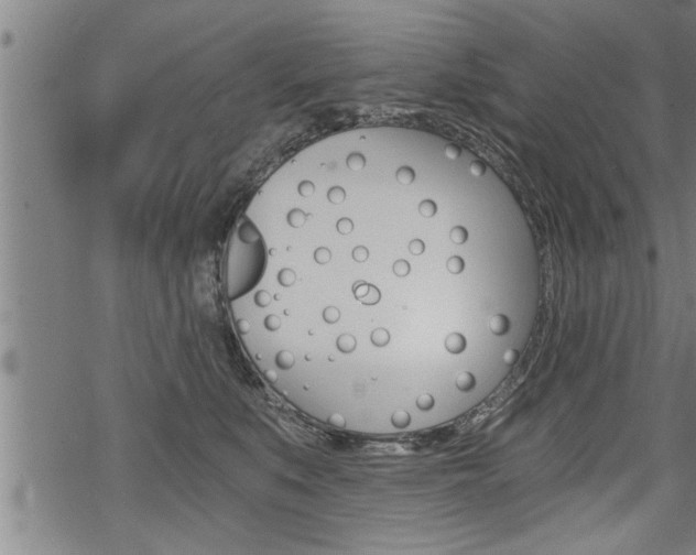 X0000069810519200605190848