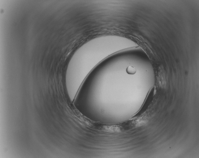 X0000069810520200605190848