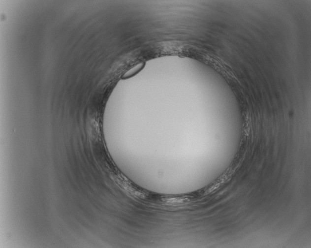 X0000069810522200605190848