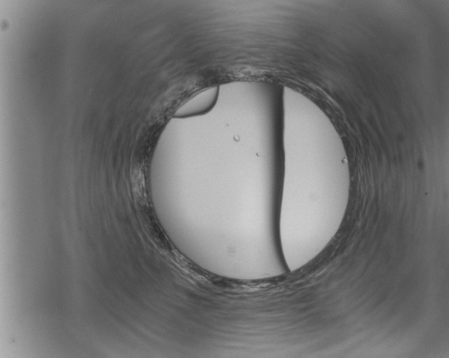 X0000069810523200605190848