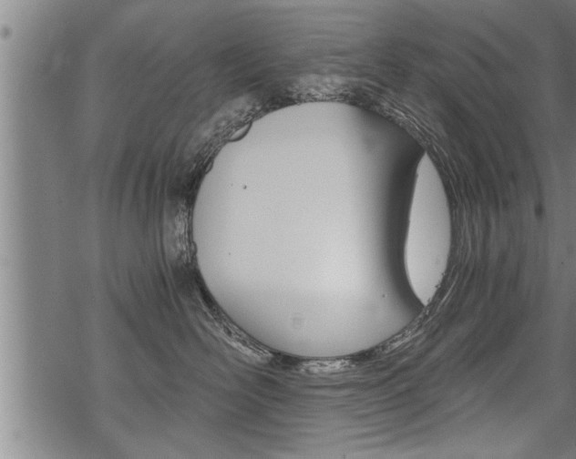 X0000069810526200605190848