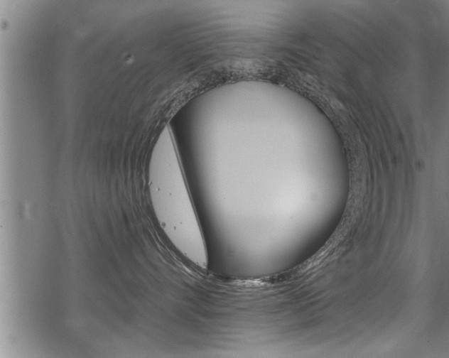 X0000069810528200605190848