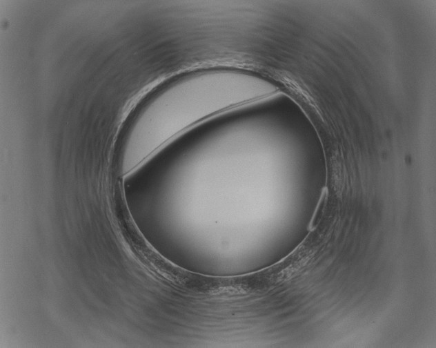 X0000069810536200605190847