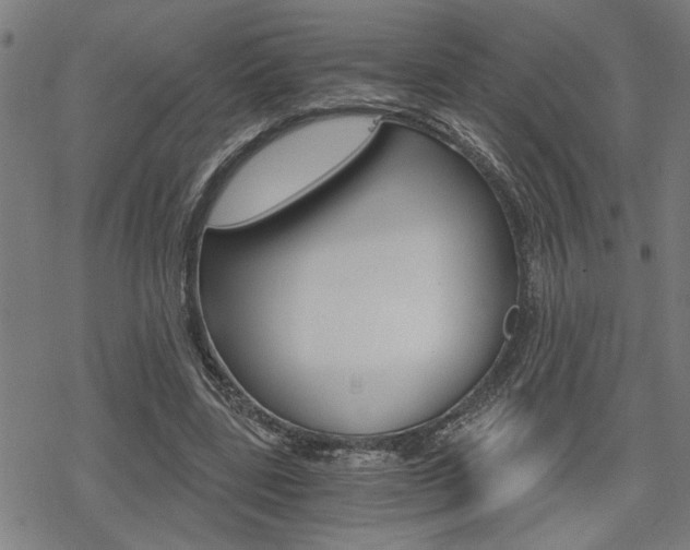 X0000069810539200605190847