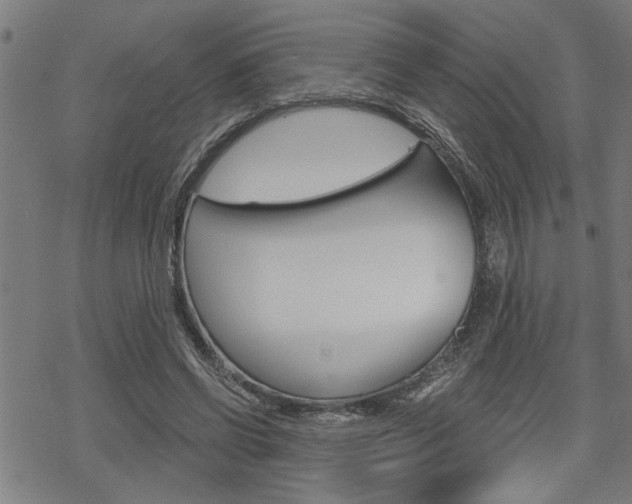 X0000069810542200605190847