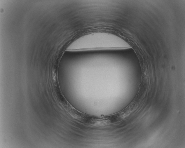 X0000069810555200605190848