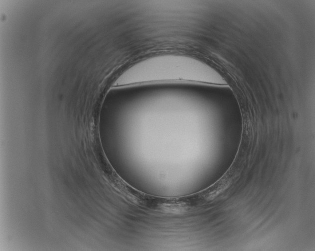 X0000069810556200605190848