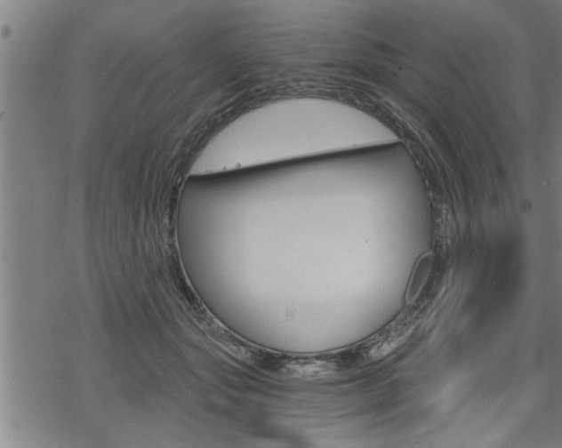 X0000069810557200605190848