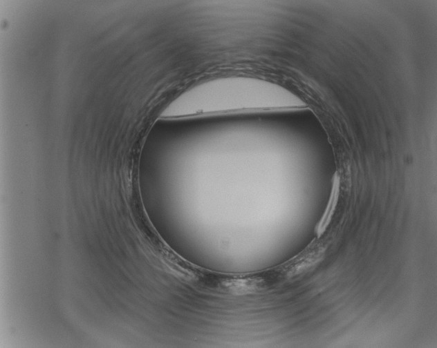 X0000069810558200605190848