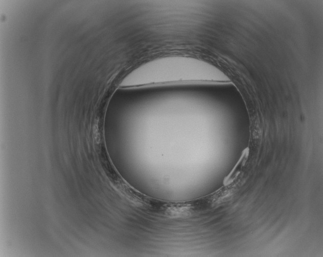 X0000069810560200605190848