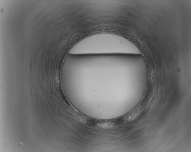 X0000069810561200605190848