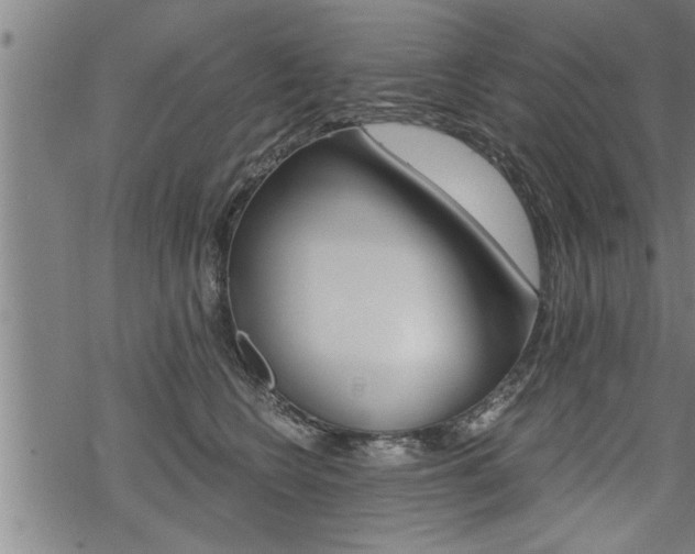 X0000069810566200605190848