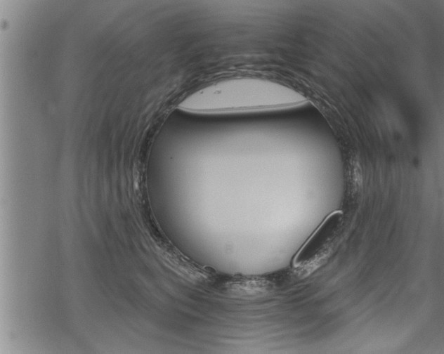 X0000069810567200605190848