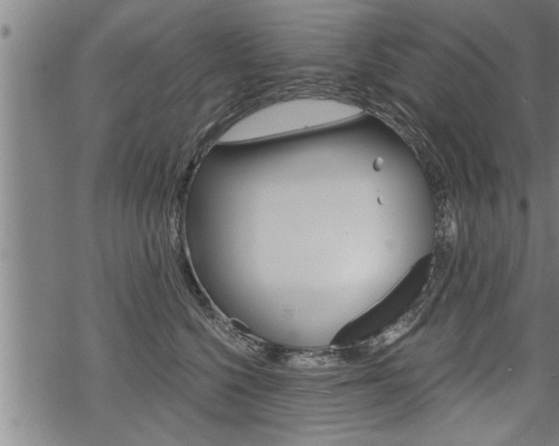 X0000069810568200605190848