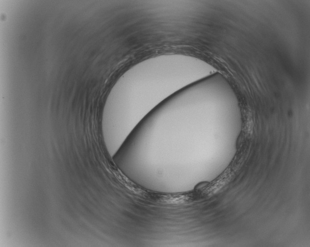 X0000069810569200605190848