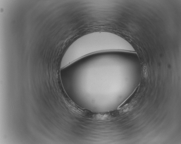 X0000069810570200605190848