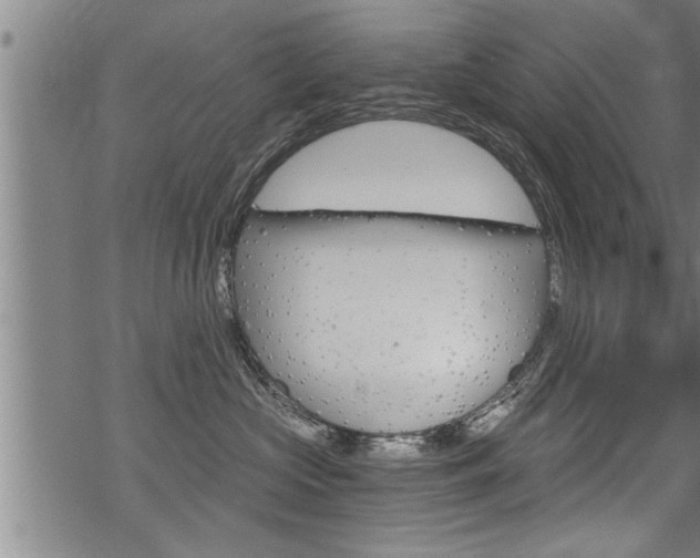 X0000069810573200605190848