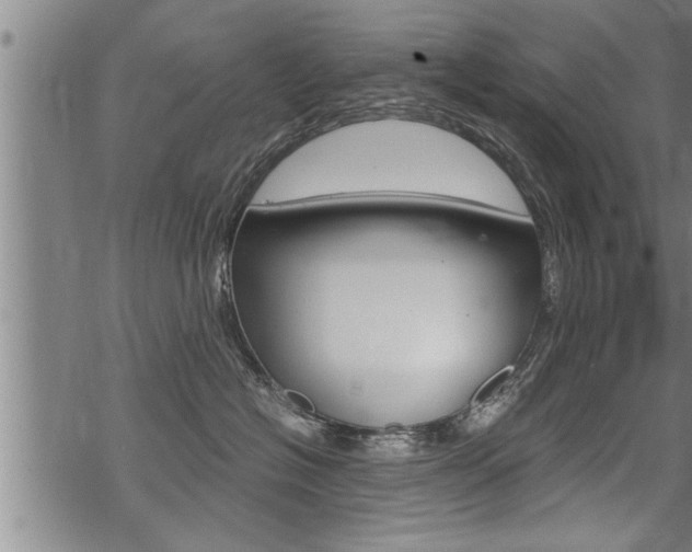 X0000069810574200605190848