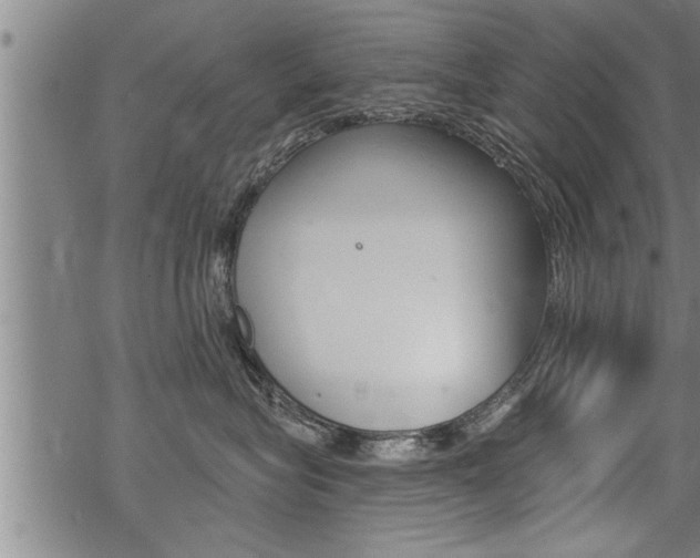 X0000069810575200605190848