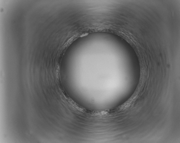 X0000069810576200605190848