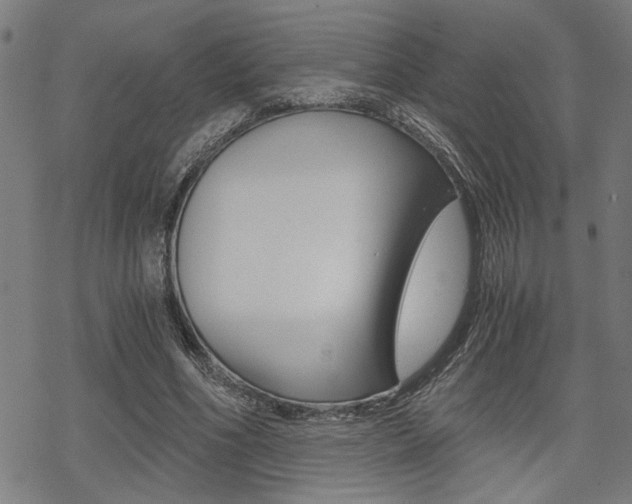 X0000069810586200605190847