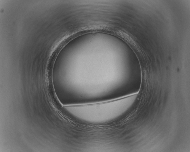 X0000069810676200605190845