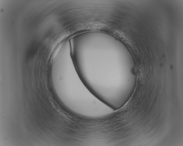 X0000069810679200605190845