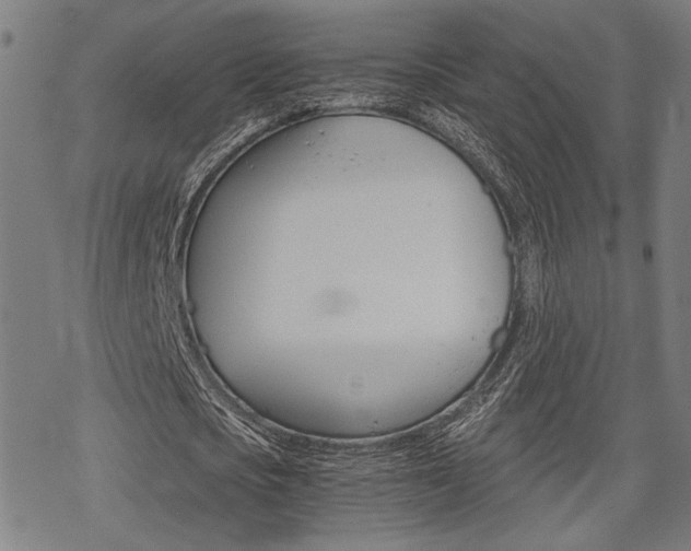 X0000069810721200605190844
