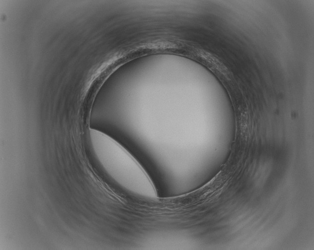 X0000069810727200605190844