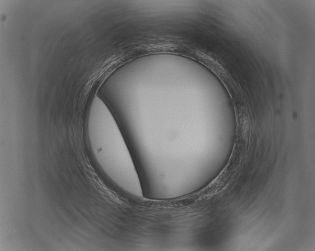 X0000069810729200605190844