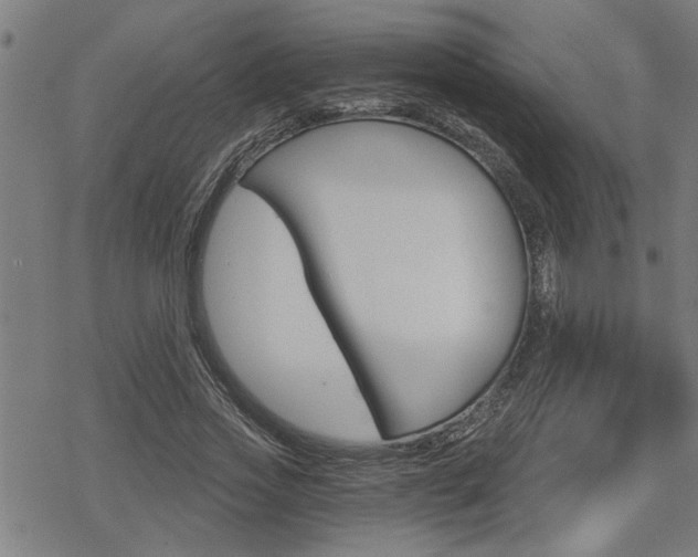 X0000069810733200605190844