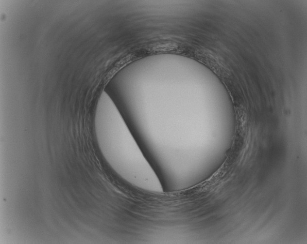 X0000069810745200605190844