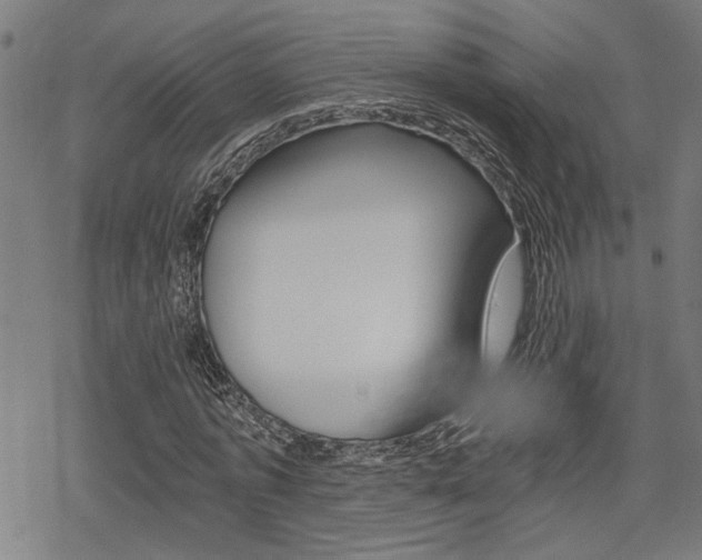 X0000069810773200605190844