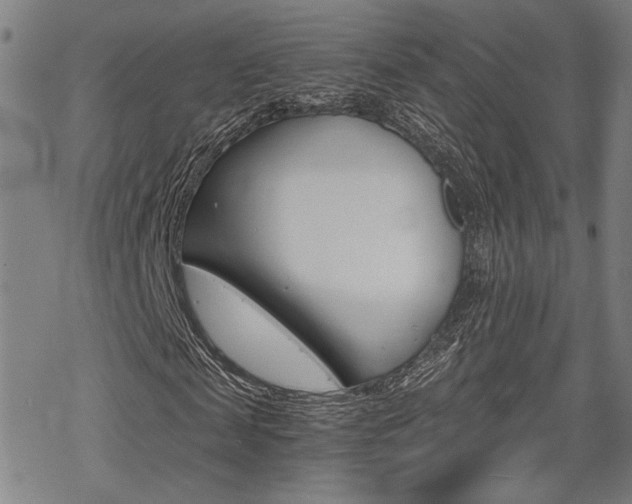 X0000069810817200605190842