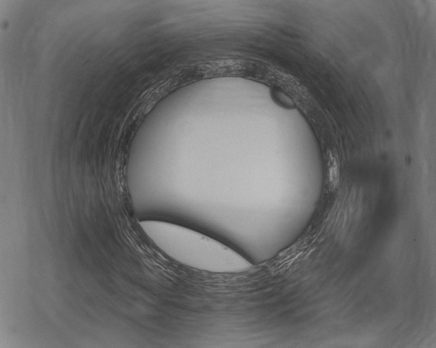 X0000069810819200605190842