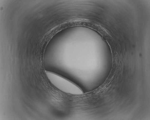 X0000069810821200605190842