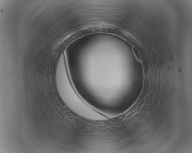 X0000069810822200605190842