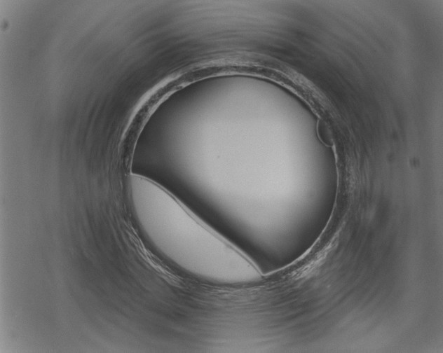 X0000069810830200605190843