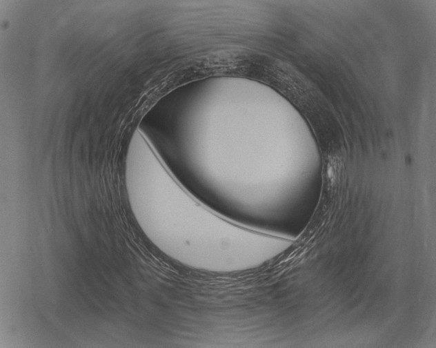 X0000069810867200605190842