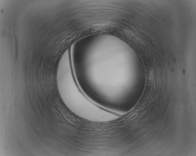 X0000069810868200605190842