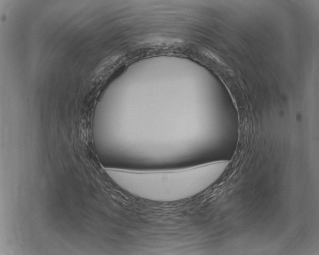 X0000069810869200605190842
