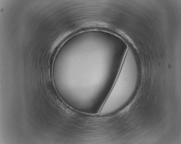 X0000069810877200605190842